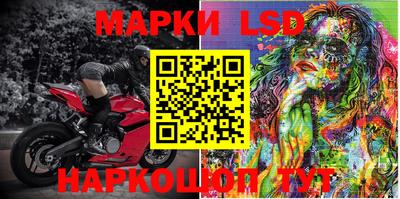 PSILOCYBIN Майкоп
