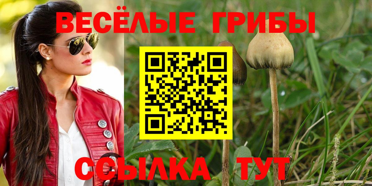 Галлюциногенные грибы Psilocybine cubensis  Вход с VPN  Красногорск 